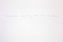  Dream of Shame, 2023. Pencil on 4 walls, (quote from Shame by Ingmar Bergman), dimensions variable